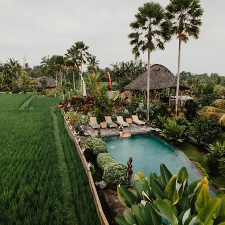 Hotel Padi Bali Retreat