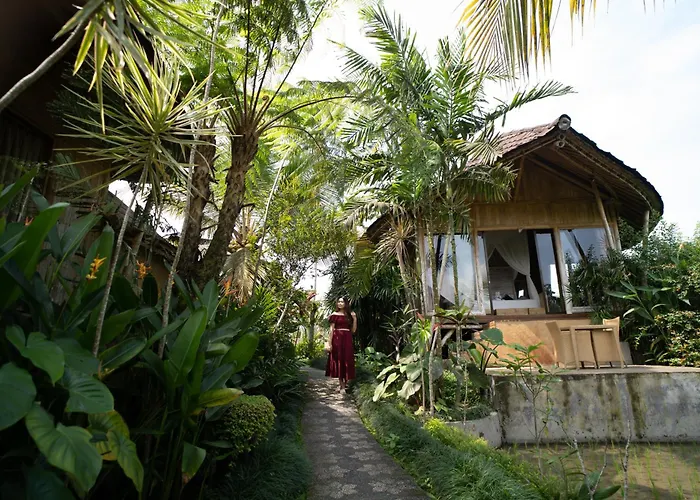 Padi Bali Retreat リゾート 3*