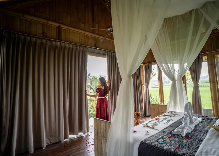 リゾート Padi Bali Retreat 3*