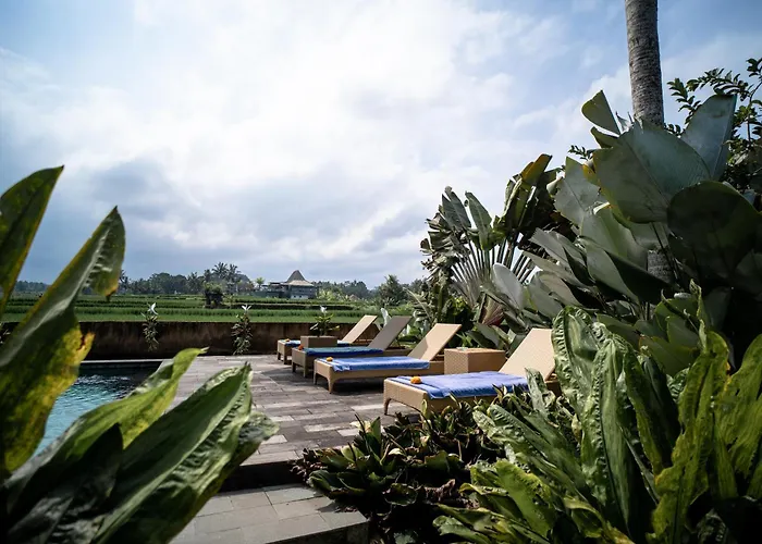 Padi Bali Retreat 3* パヤンガン