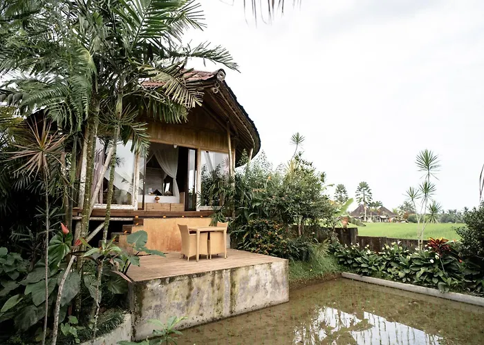 Padi Bali Retreat