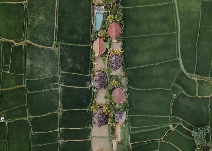 リゾート Padi Bali Retreat