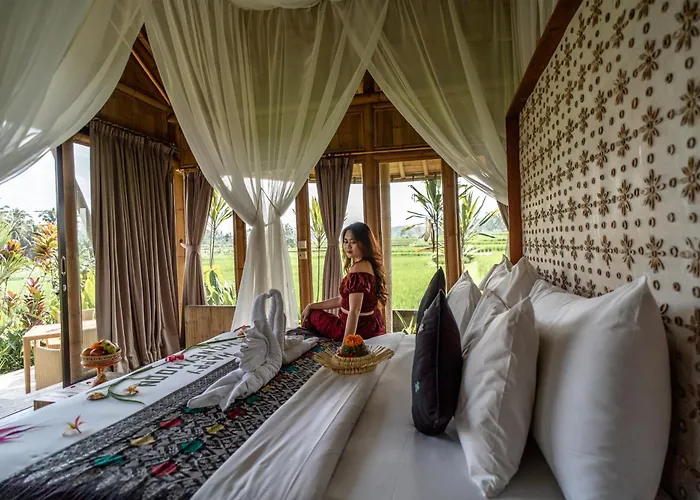 Padi Bali Retreat パヤンガン