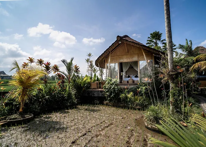 Padi Bali Retreat リゾート パヤンガン
