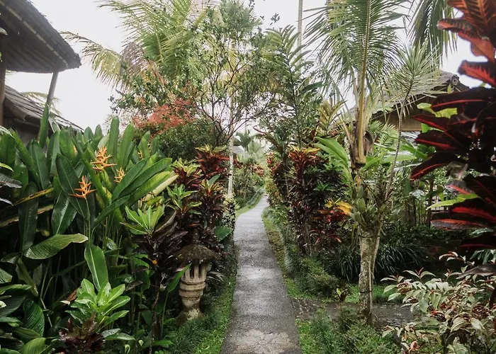 Padi Bali Retreat リゾート