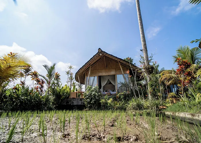 Padi Bali Retreat