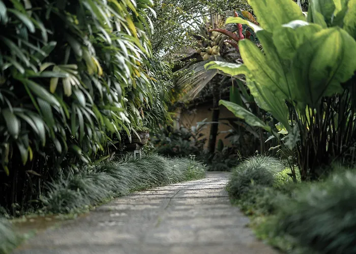 Padi Bali Retreat