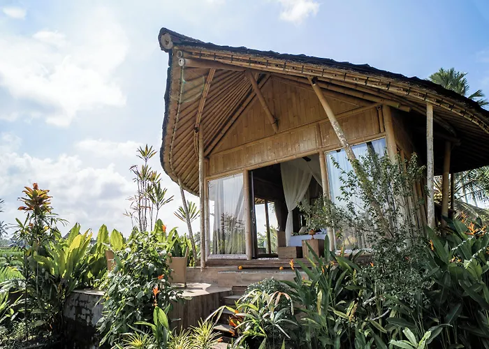Resort Padi Bali Retreat
