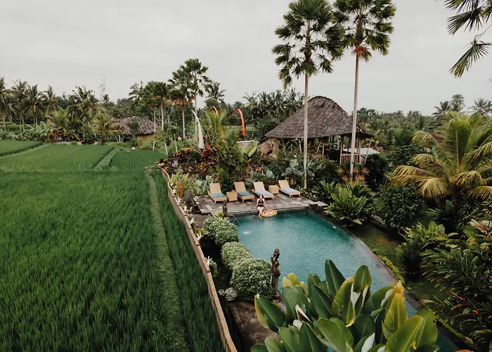 Padi Bali Retreat منتجع